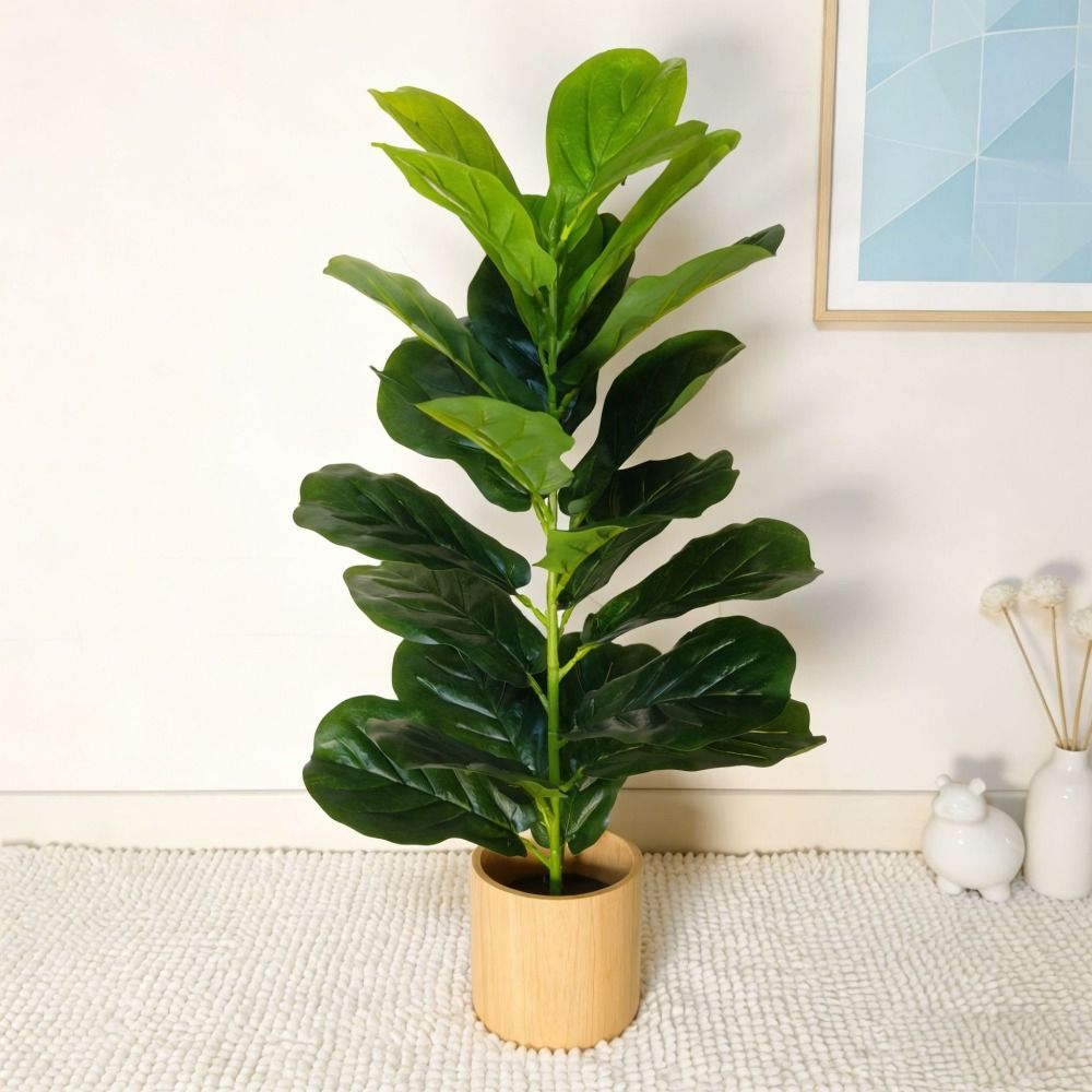 Green Plastic Artificial Ficus - огляд і ціна Dracaena Marginata